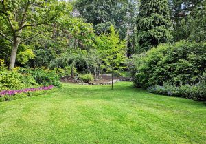 Optimiser l'expérience du jardin à Saint-Marcel-l'Eclaire